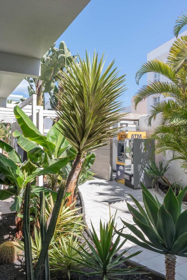 Gaviota Holidayfv コラレホ エクステリア 写真